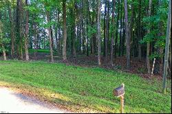 1.3ac Bradbys Lane, Smithfield VA 23430