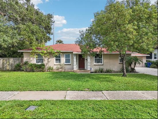 4009 W Palmira Avenue, Tampa FL 33629