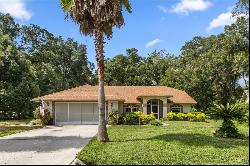 3252 N Sherlock Point, Hernando FL 34442