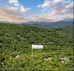 N/A Ravenel Ridge Road, Highlands NC 28741