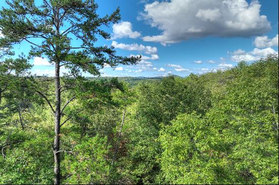 Sprawling Over 19-Acre Lot In North Georgia!