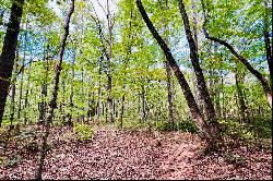 Vacant Lot Nestled in Stunning North Georgia Mountains