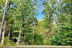 Vacant Lot Nestled in Stunning North Georgia Mountains