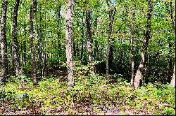 Vacant Lot Nestled in Stunning North Georgia Mountains