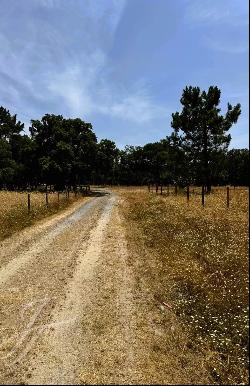 Magnificent plot with approved project, 2.2ha, Nature , Pine trees, Privacy, Melides, Comp