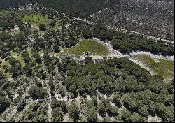 Magnificent plot with approved project, 2.2ha, Nature , Pine trees, Privacy, Melides, Comp