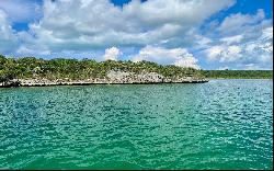 Big Bullard Cay - MLS 59567