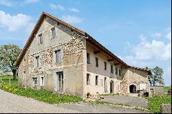 Large, partially renovated farmhouse for families in search of nature