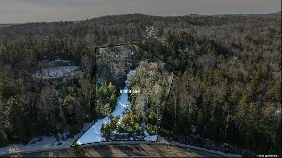 Mont-Tremblant Land