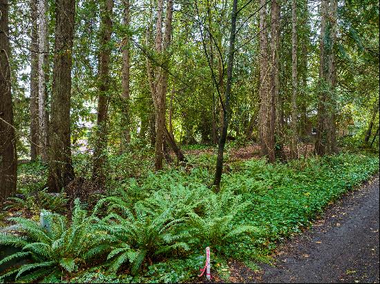 Bainbridge Island