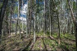 Tbd Hidden Mine (lot 18),Crested Butte, CO, 81224