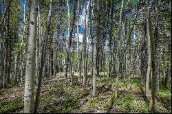 Tbd Hidden Mine (lot 18),Crested Butte, CO, 81224