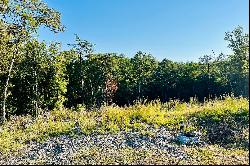 Residential Lot In Fannin County!