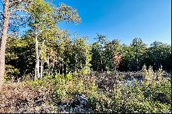 Residential Lot In Fannin County!