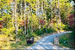 Residential Lot In Fannin County!