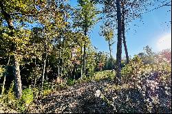 Residential Lot In Fannin County!