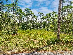 Premier Bay-View Lot With Plans For Your Dream Beach Home 