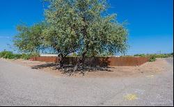 5354 W Calle Cayeus, Tucson, AZ 85741