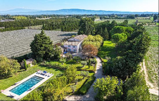 Authentic Provençal mas with large swimming pool