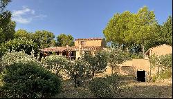 Traditional Provencal Villa