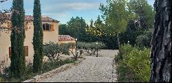 Traditional Provencal Villa