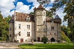 Chateau de Montchalin a moins d'une heure de Lyon et de Grenoble