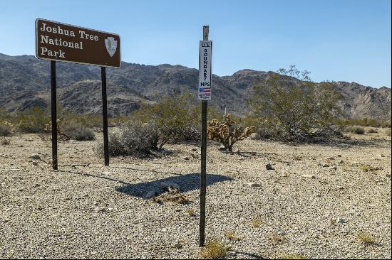 You're Not Just Close To Joshua Tree National Park.  You're In It.