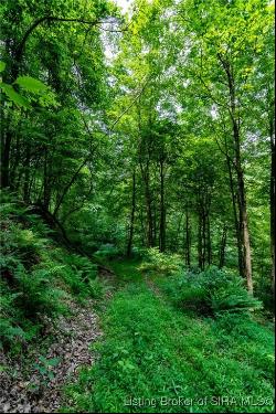 Stone Mountain Road, New Albany IN 47150