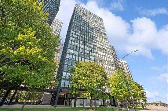 880 N LAKE SHORE Drive #8G, Chicago IL 60611