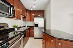 880 N LAKE SHORE Drive #8G, Chicago IL 60611