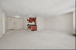 880 N LAKE SHORE Drive #8G, Chicago IL 60611