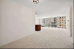 880 N LAKE SHORE Drive #8G, Chicago IL 60611