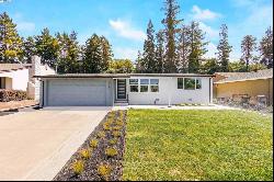 924 Tamarack Ave, San Jose CA 95128