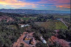 Gorgeous Gated Napa View Home