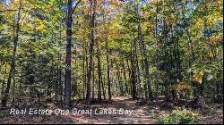 Lakeshore Drive, Gladwin MI 48624