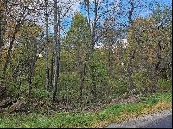 Black Road, Marion Twp - But PA 16038