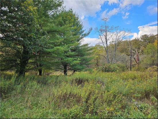 Black Road, Marion Twp - But PA 16038