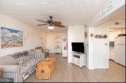 423 Lark Lane Unit 102, Ocean City MD 21842