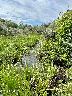 Sage Hollow Road, Kamas UT 84036