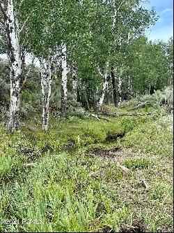 Sage Hollow Road, Kamas UT 84036