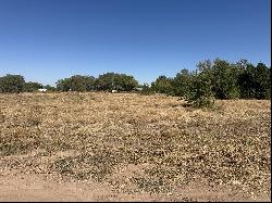 Lot 5A2 Ross Lane, Los Lunas NM 87031