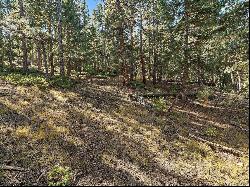 5815 Herzman Drive, Evergreen CO 80439