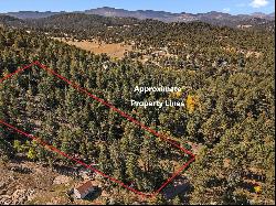 5815 Herzman Drive, Evergreen CO 80439