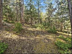 5815 Herzman Drive, Evergreen CO 80439