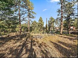 5815 Herzman Drive, Evergreen CO 80439