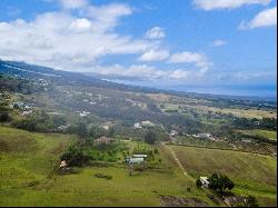 1351 Pulehuiki Rd #2, Kula HI 96790