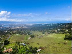 1351 Pulehuiki Rd #2, Kula HI 96790