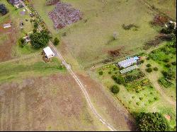 1351 Pulehuiki Rd #2, Kula HI 96790