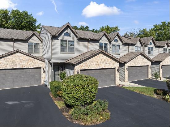 25 Garden Crescent Court #25, Elgin IL 60123