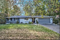 8265 Lake Vista Drive, Richland MI 49083